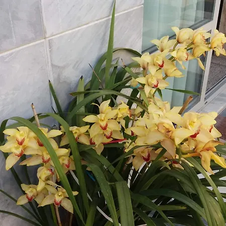 Szálloda Paritsa 2*